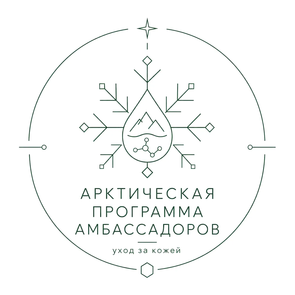 Схема комплекта амбассадора Formula SK